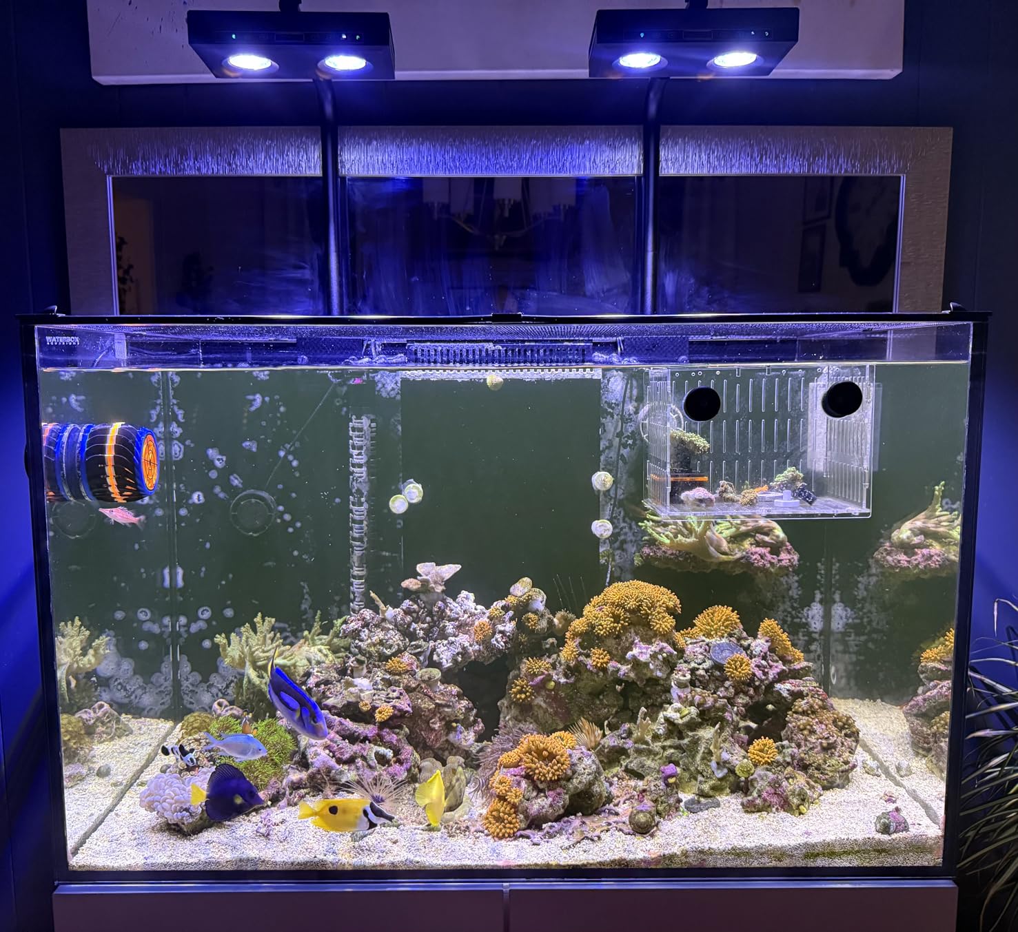 Marine Aquarium Led Lights - Lampu LED Akuarium DIY Spektrum Tinggi
