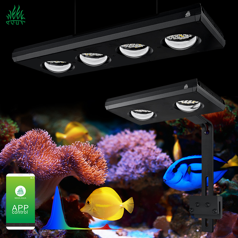Marine Aquarium Led Lights - Lampu LED Laut ZXY Hot Sale