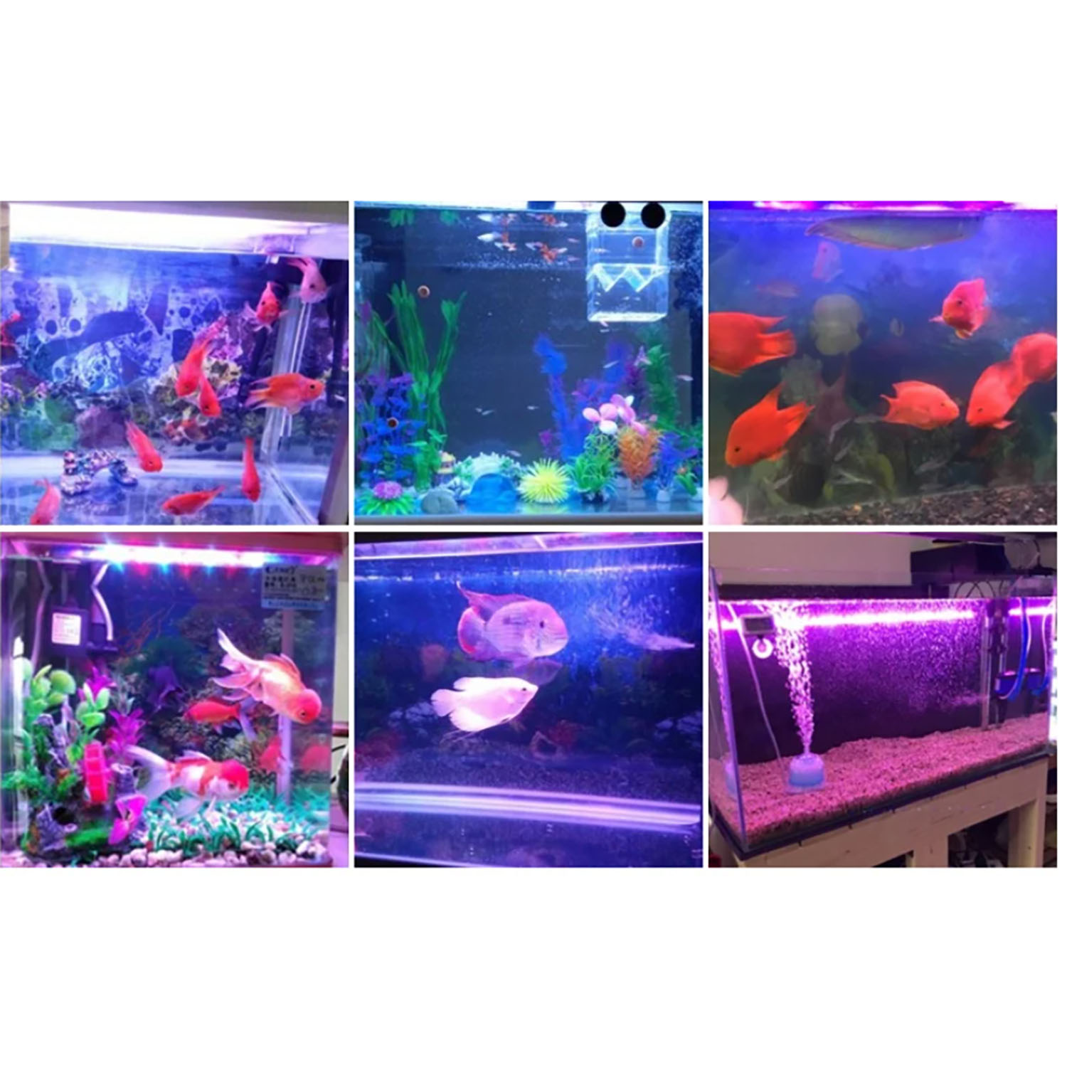 Marine Aquarium Led Lights - 50W 60W 70W 100W RGB 26-28V