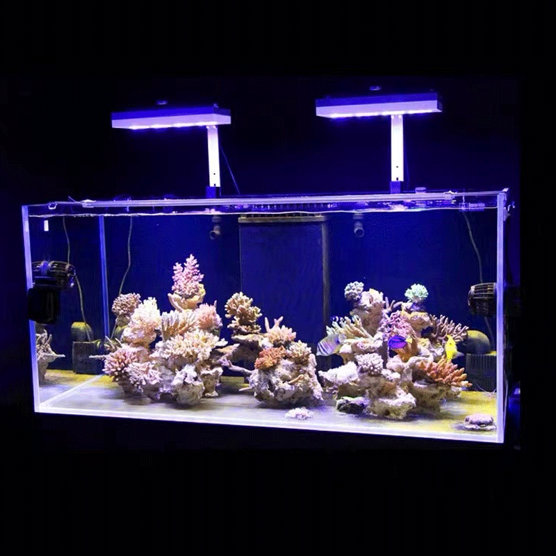 Lampu LED Terumbu Karang Aqua  - Marine Aquarium Led Lights ulasan dan harga