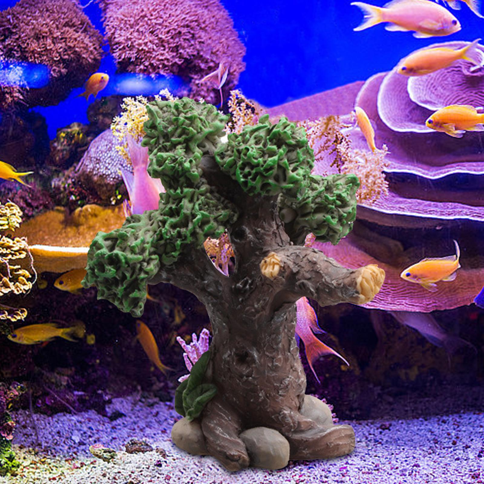 Akuarium Bebatuan Persembunyia - Aquarium Marina ulasan dan harga