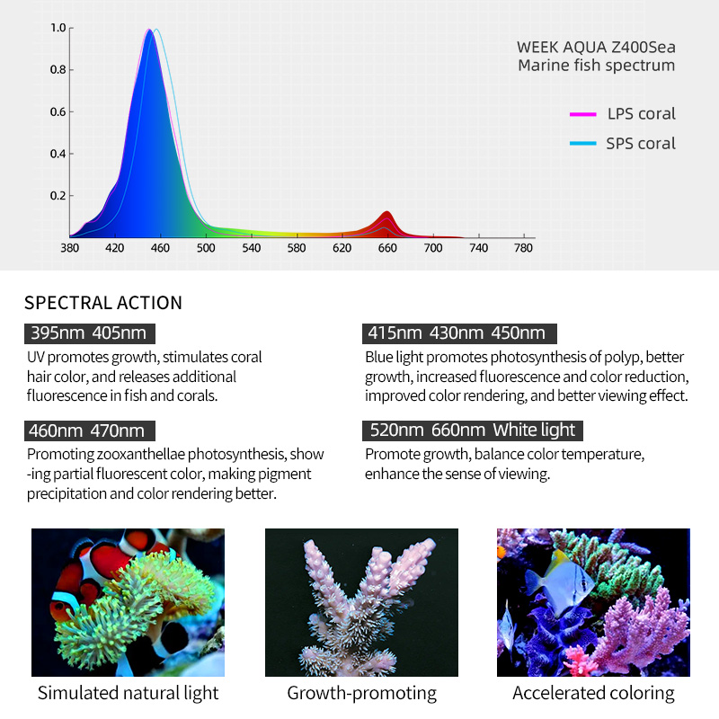 Lampu LED Laut ZXY Hot Sale WE - Marine Aquarium Led Lights ulasan dan harga
