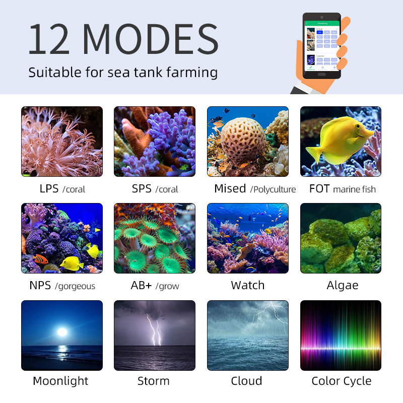Lampu LED Laut ZXY Hot Sale WE - Marine Aquarium Led Lights ulasan dan harga