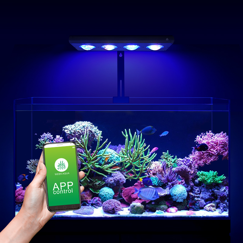 Lampu LED Laut ZXY Hot Sale WE - Marine Aquarium Led Lights ulasan dan harga