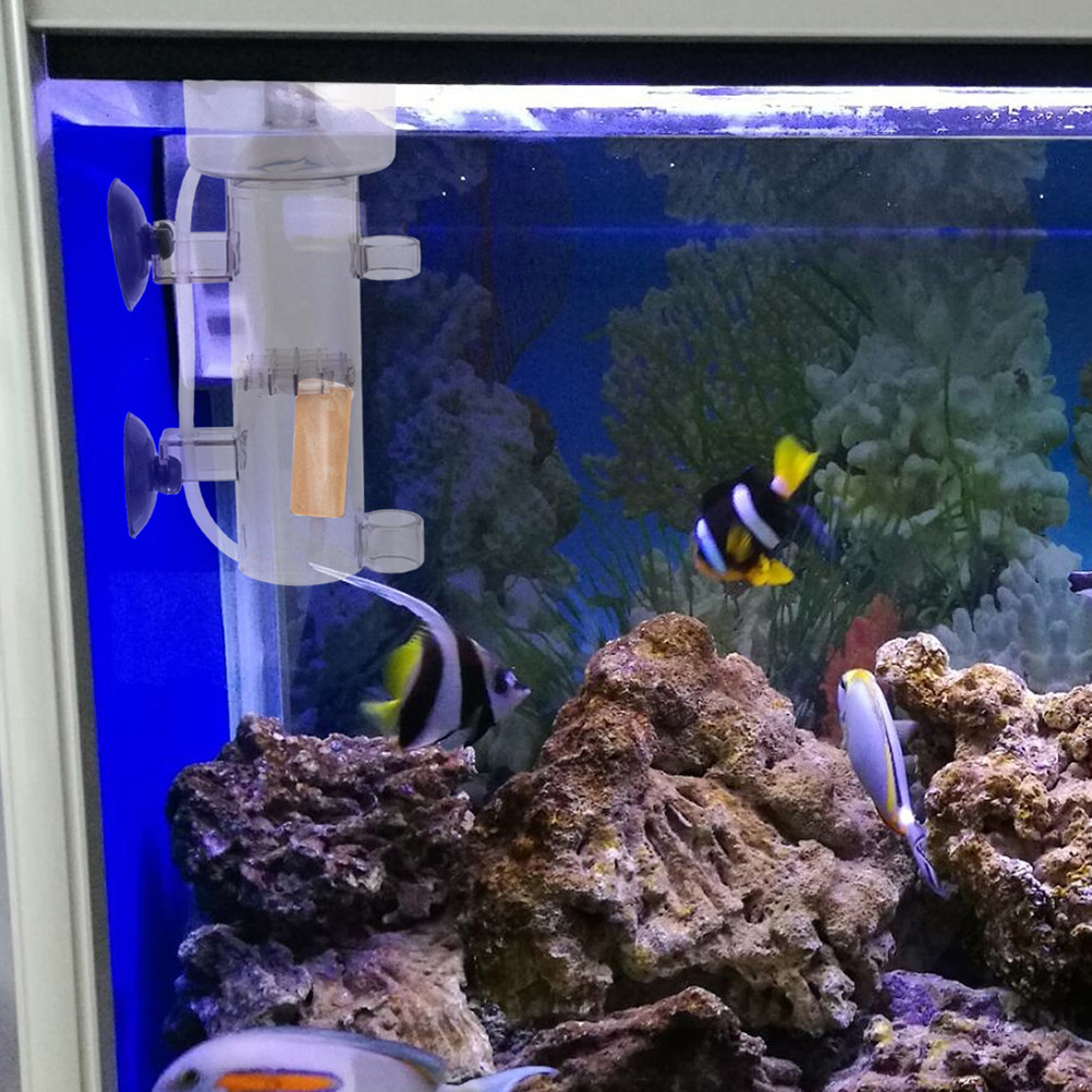 Protein Skimmer Internal Mini  - Aquarium Marine Filter ulasan dan harga