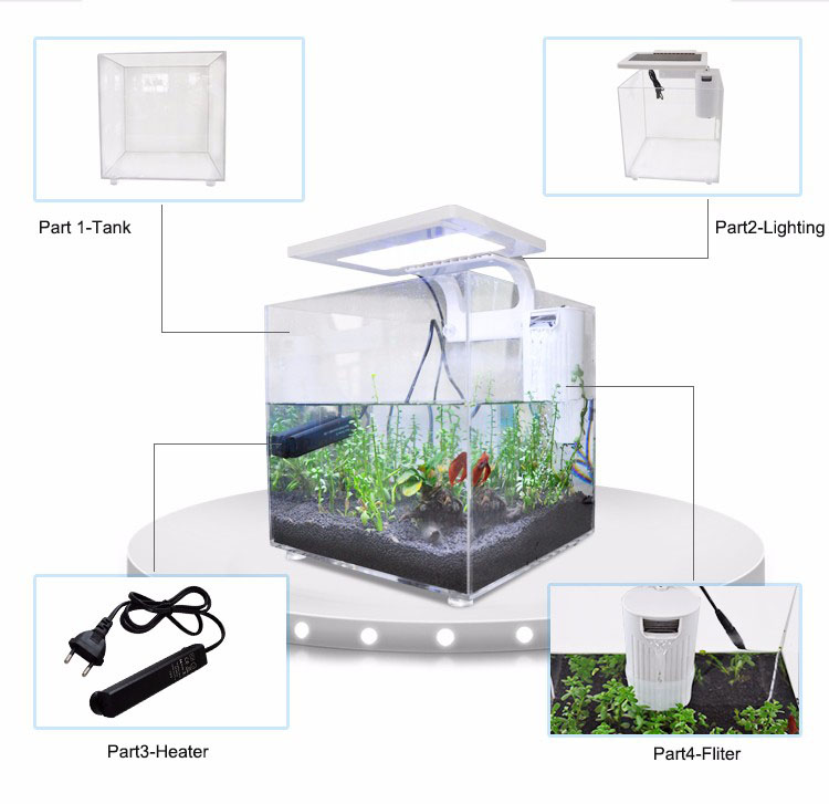 Akuarium Mini Akrilik (25*25*2 - Aquarium Marina ulasan dan harga