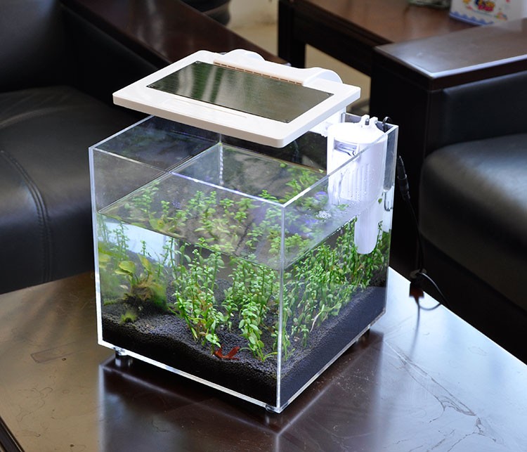 Akuarium Mini Akrilik (25*25*2 - Aquarium Marina ulasan dan harga